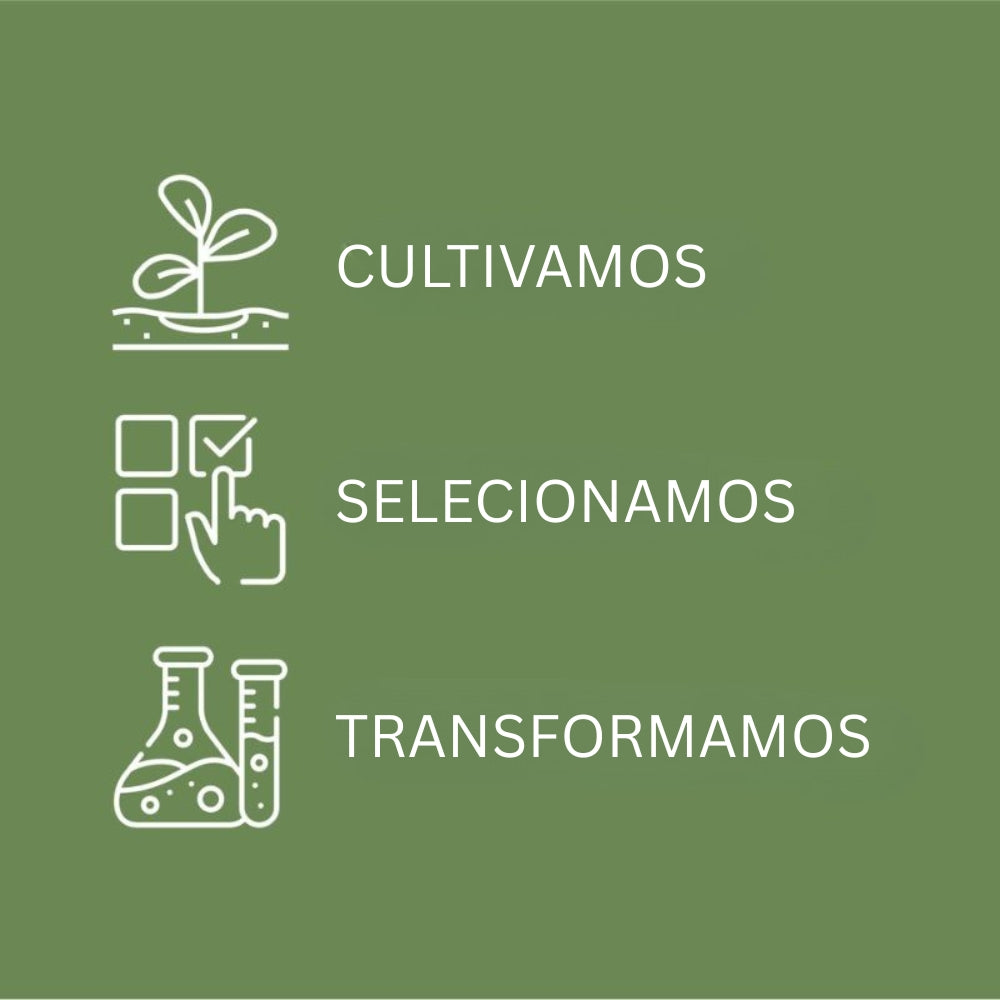 Creme Contorno de Olhos Antienvelhecimento Pistilli di Zafferano 10ml