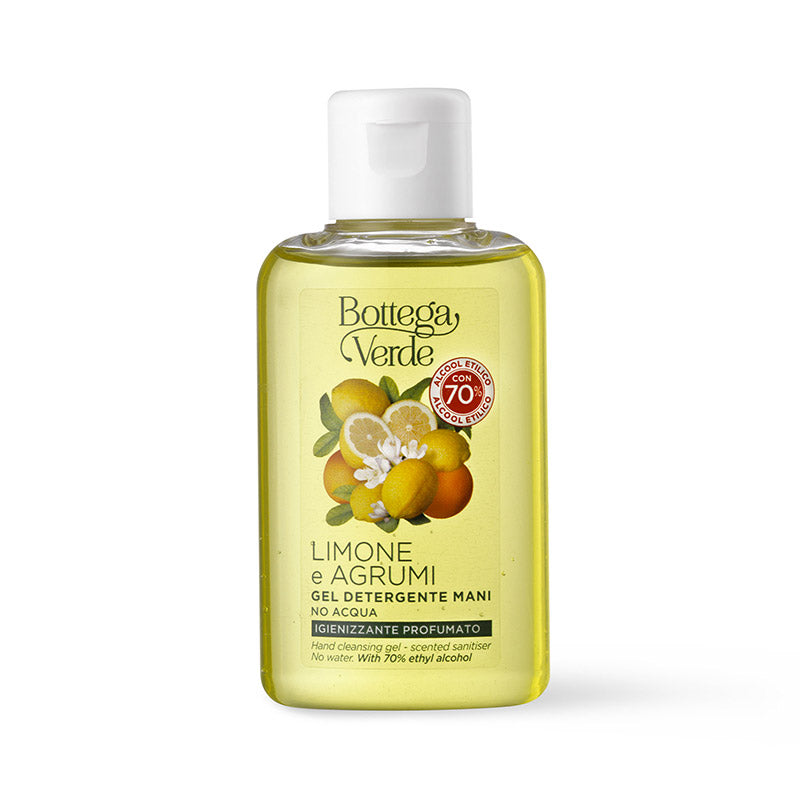 Gel de Limpeza para Mãos Lemon and Citrus sem Álcool 70% 100ml